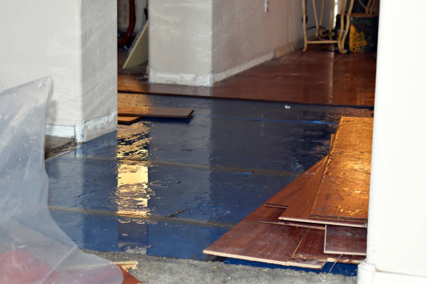 Professional Burst Pipe Cleanup technician working in Lexington, IL