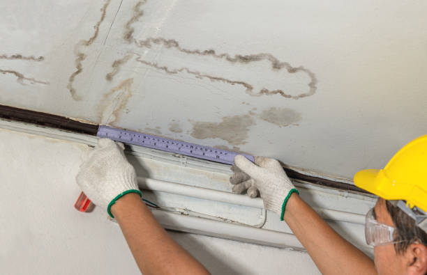 Reliable Burst Pipe Cleanup contractor in Lexington, IL by Water Damage Irwin